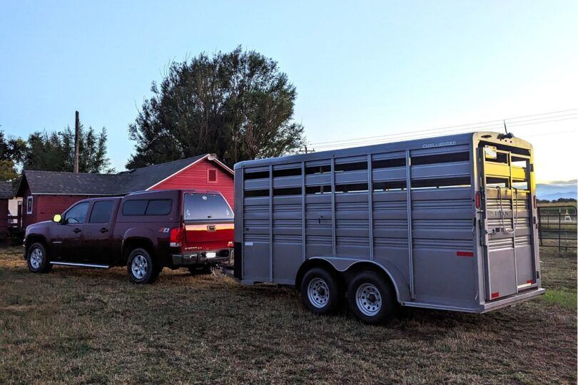 truck and livestock trailer