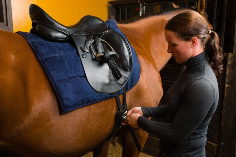 dressage saddle on a horse