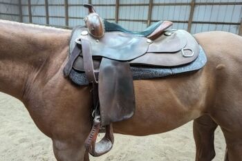 Couverture de selle de cheval Western Show Haiti