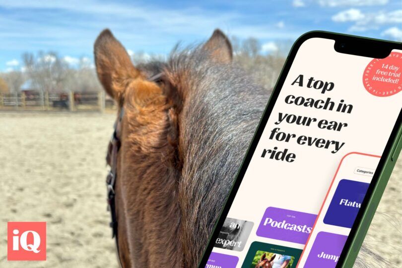 virtual horse riding lessons