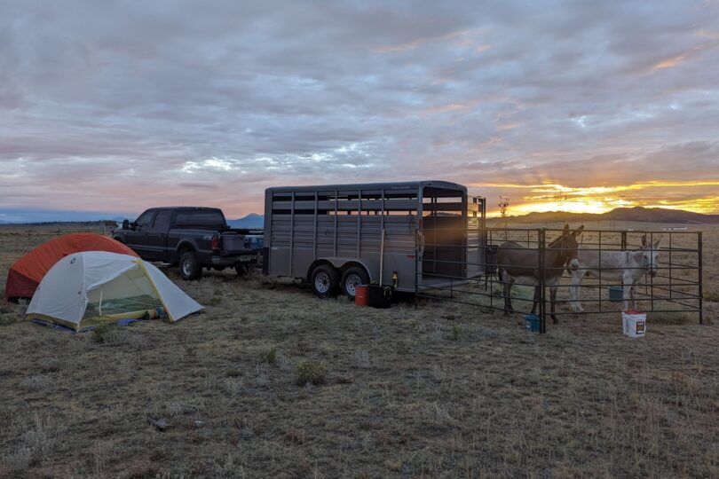 two donkeys in a corral next to tents at sunset