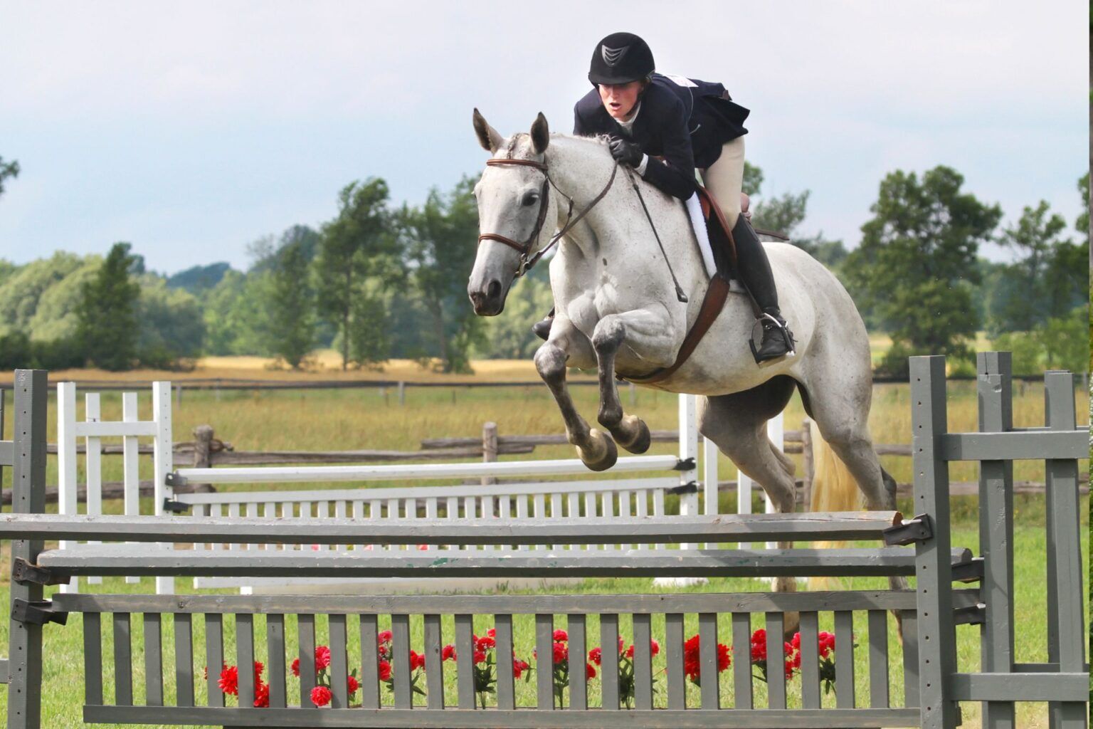 Inside Look Horse Show Jumping Course Design and Strategy Horse Rookie