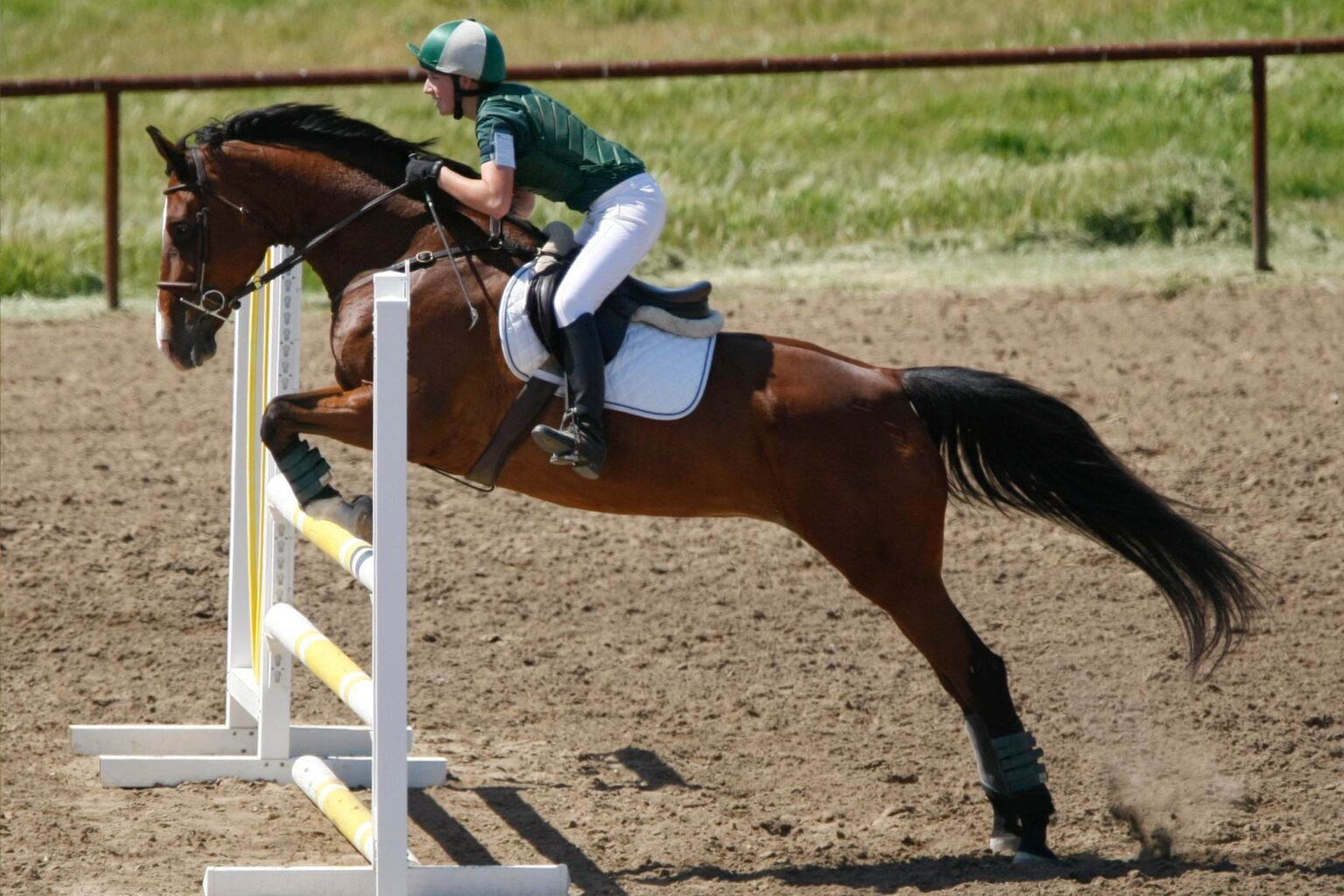 Anatomy of a Jump Through the Eyes of an Equine - Horse Rookie