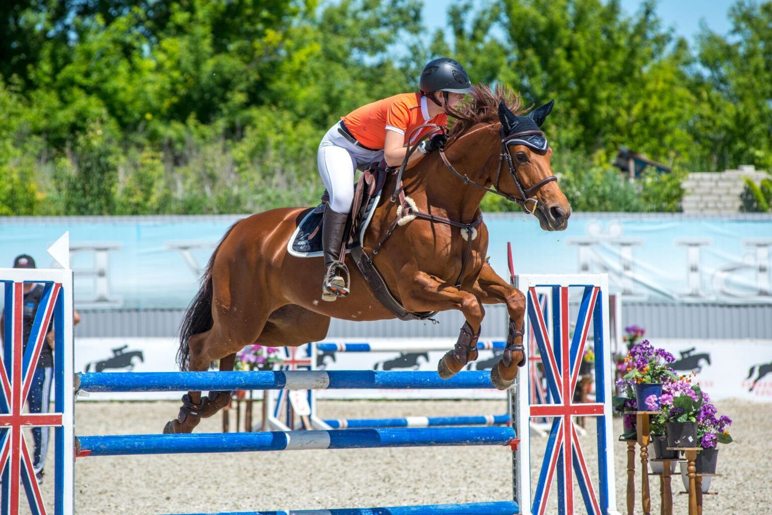 Equestrian Course How to Ride a Jump Course - Horse Rookie