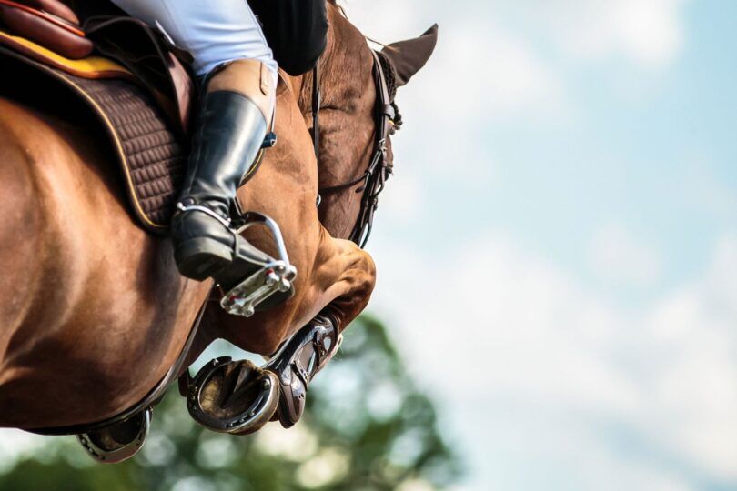 chestnut horse jumping