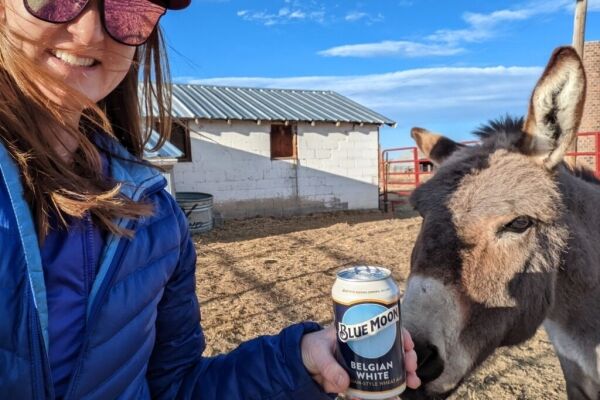 blue moon beer with blue the donkey