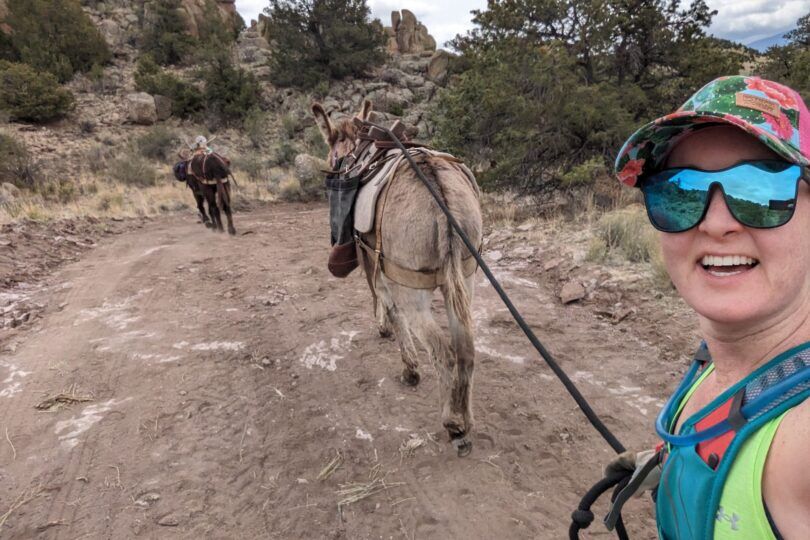 pack burro racing in colorado