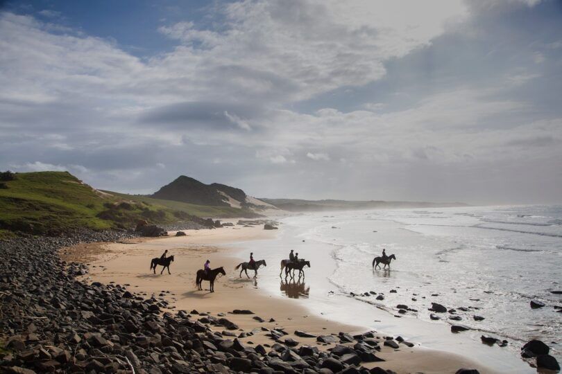 group of horses and riders on the beach in south africa