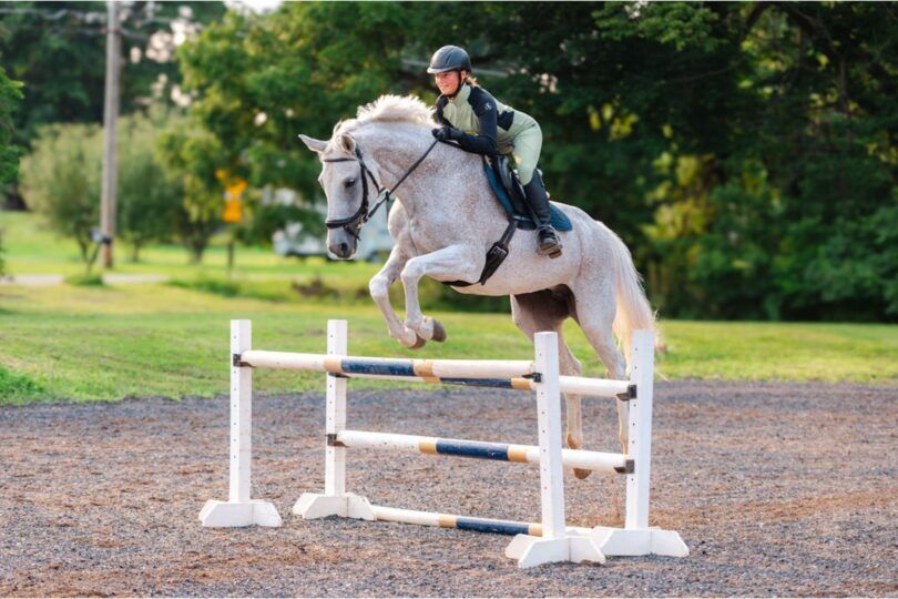 woman jumping on a gray horse