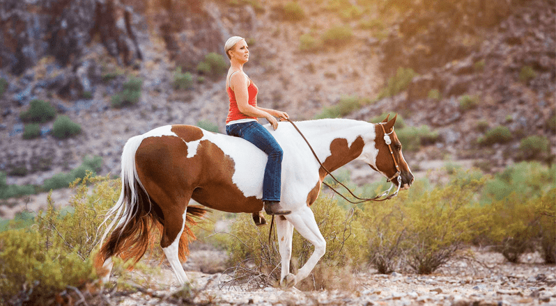 Carly Kade In the Reins Horse Author