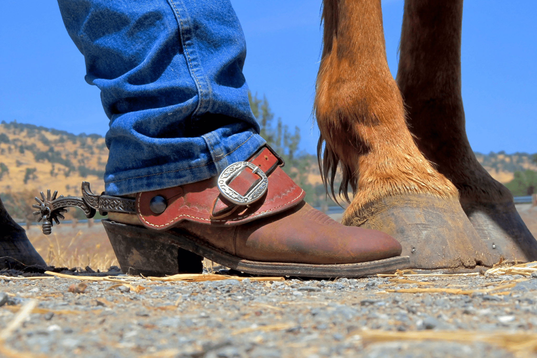 good horse riding boots